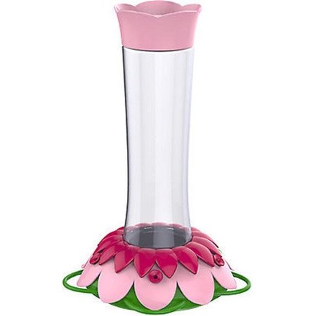 PETPRIDE 5 Port Glass Flower Hummingbird Feeder; Pink Fuchsia PE697383